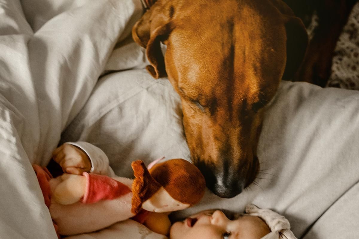 Baby mit Hund – Fotostadl Sabrina Redlich Bayreuth
